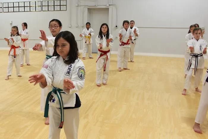 White Mountain Karate Picture 4