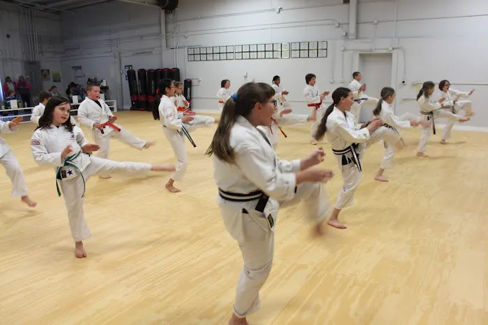 White Mountain Karate Picture 7