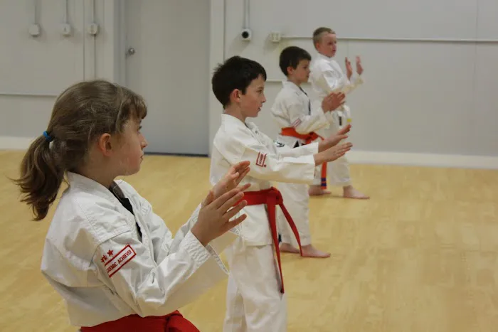 White Mountain Karate Picture 6