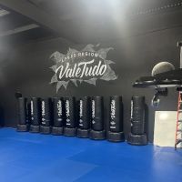 Lakes Region Vale Tudo ico
