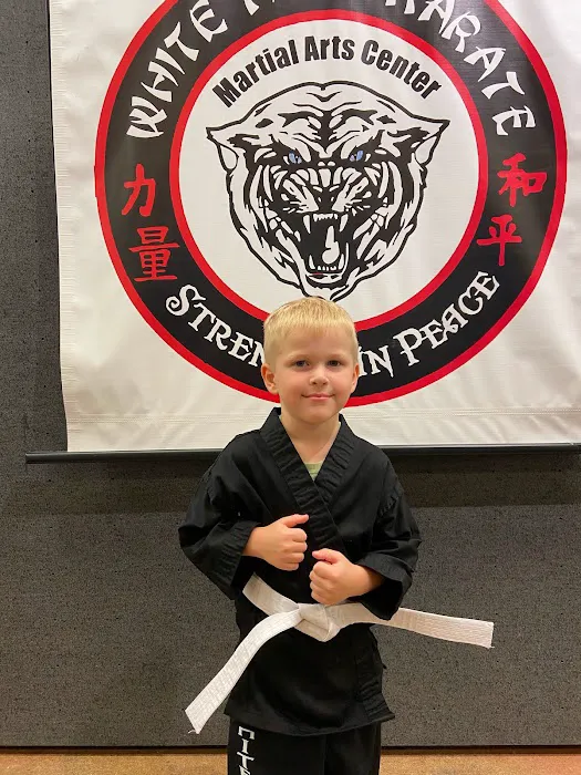 White Tiger Karate, LLC Picture 3