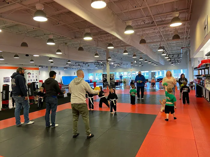 White Tiger Karate, LLC Picture 2