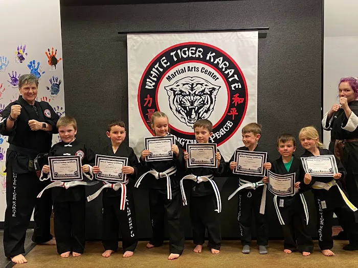 White Tiger Karate, LLC Picture 6