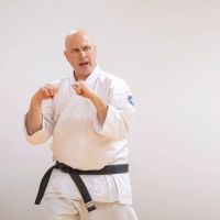 603 Karate ico