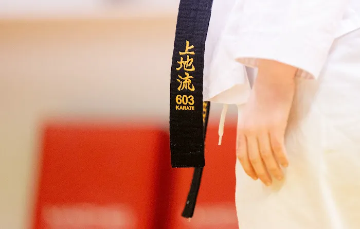 603 Karate Picture 6