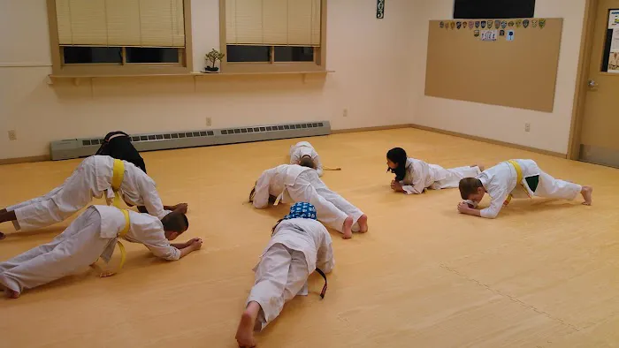 603 Karate Picture 7