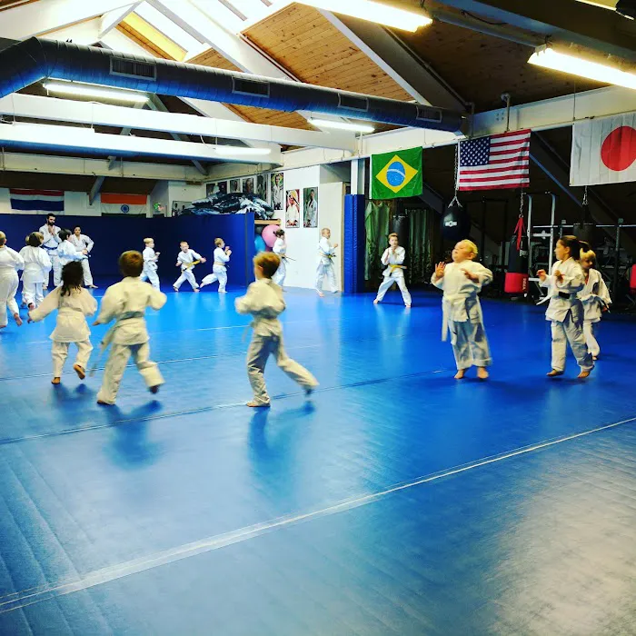 Infinity: Brazilian Jiu-Jitsu | Kickboxing | Wrestling Picture 3