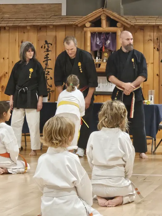 Okinawan Karate Academy Picture 4