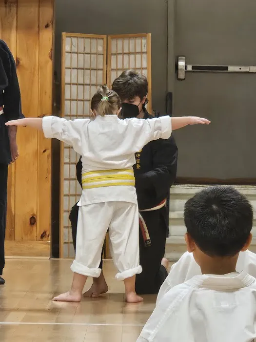 Okinawan Karate Academy Picture 6