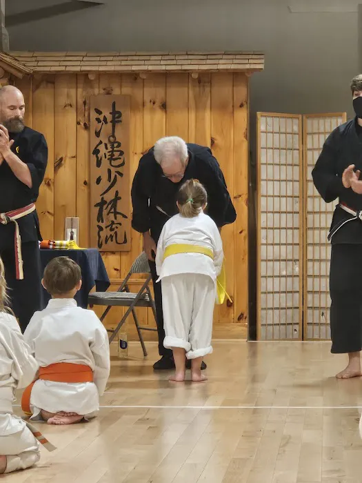 Okinawan Karate Academy Picture 3
