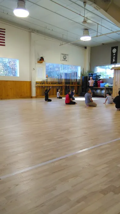 Okinawan Karate Academy Picture 2