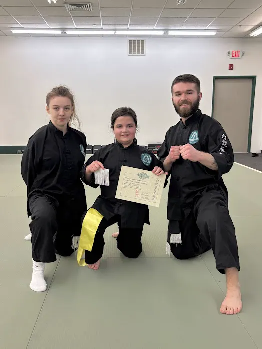 NONSTOP MARTIAL ARTS ACADEMY Picture 1