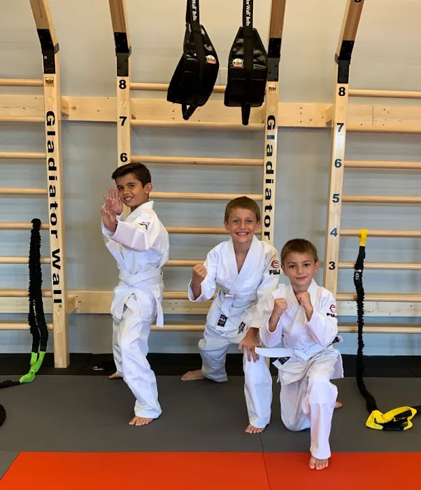 SPARTAK Atlanta - Judo, Bjj, and Fitness Picture 6