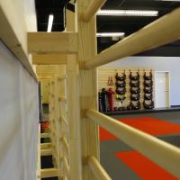 SPARTAK Atlanta - Judo, Bjj, and Fitness ico