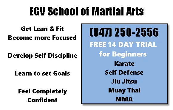 EGV School of Martial Arts Picture 1