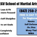 EGV School of Martial Arts
