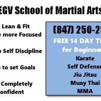 EGV School of Martial Arts ico