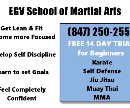 EGV School of Martial Arts