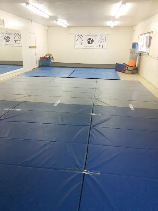 WILMINGTON KARATE CLUB Picture 5