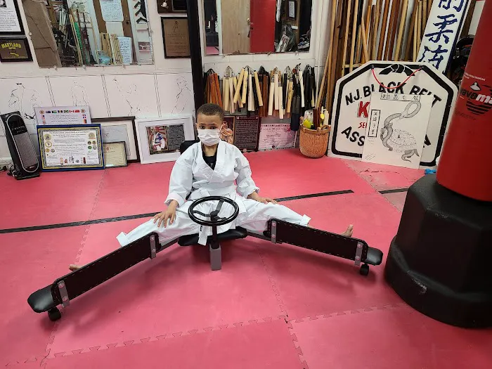 New Jersey State Black Belt Assn. Karate Dojo Picture 1