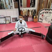 New Jersey State Black Belt Assn. Karate Dojo ico