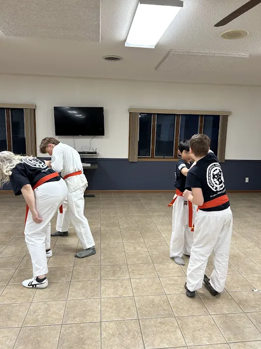 Akitsukai Martial Arts Academy Picture 4