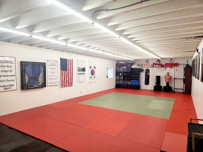 Blue Hills Tae Kwon Do Picture 3