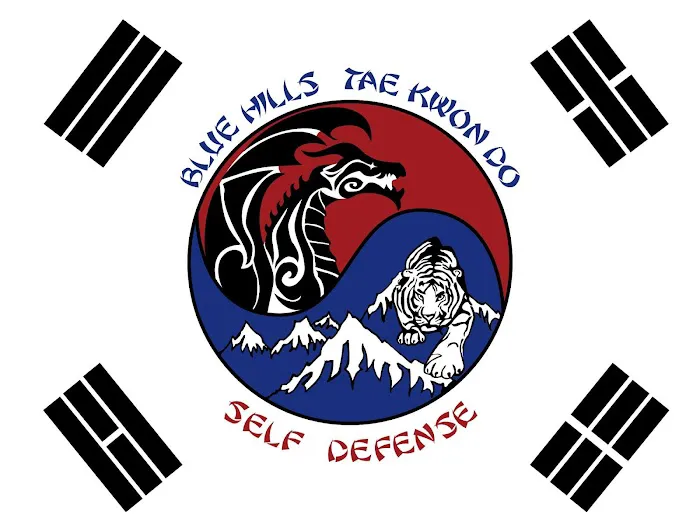 Blue Hills Tae Kwon Do Picture 1