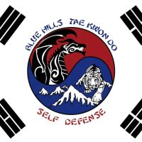 Blue Hills Tae Kwon Do ico