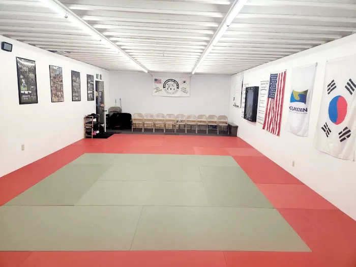 Blue Hills Tae Kwon Do Picture 4