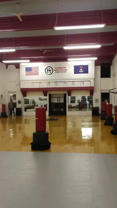 Karate Institute of America Picture 1