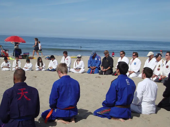 Nikko Jujitsu School Picture 1