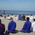 Nikko Jujitsu School