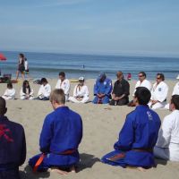 Nikko Jujitsu School ico