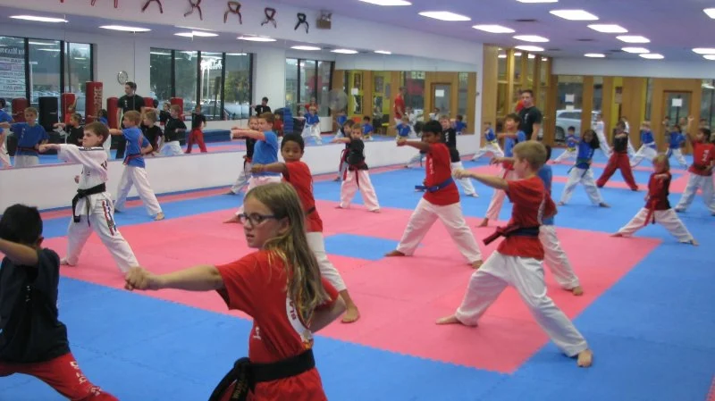 How to Use Tae Kwon Do to Build Resilience in Kids Facing Cyberbullying