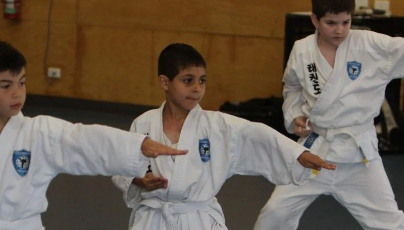 How to Perform a Low Block (Najunde Makgi) with Power
