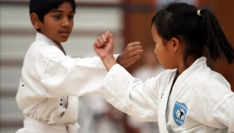 Tae Kwon Do for Architects: The Geometry of Movement and Form