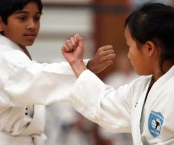 Tae Kwon Do for Architects: The Geometry of Movement and Form