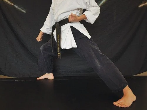 How to Perform a Palm Heel Block (Sonbadak Makgi) – Master the Technique