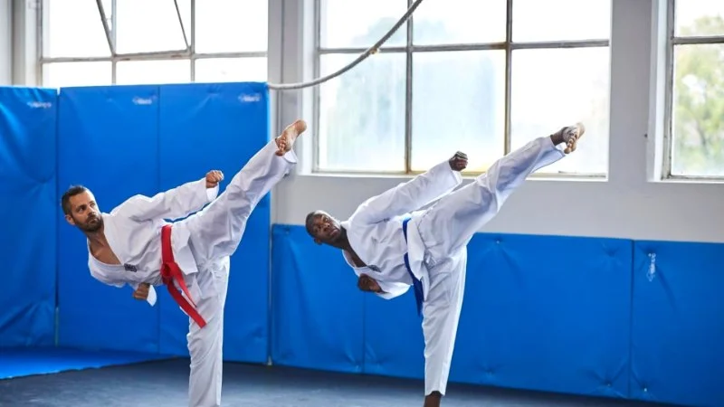 Tae Kwon Do for Computer Professionals: Relieving Wrist and Back Pain
