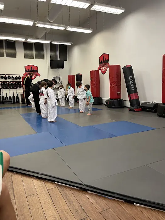 Modern Martial Arts Tribeca Picture 3
