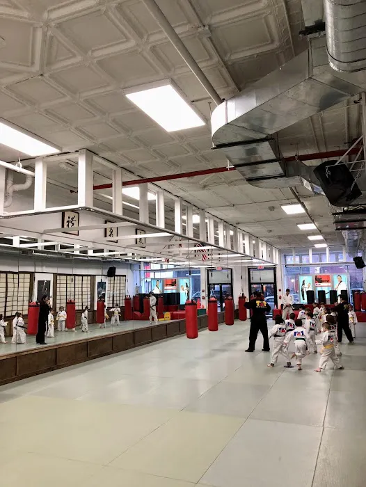 T. Kang Taekwondo - Tribeca Picture 7