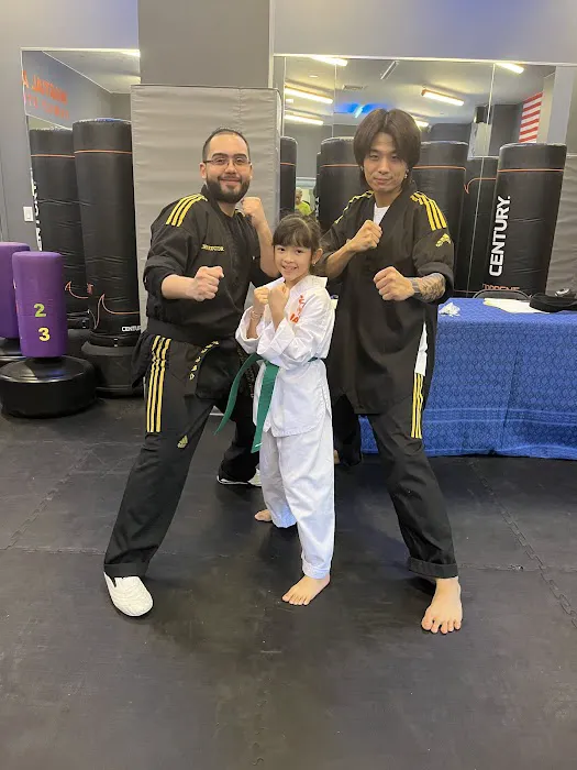 Martial Arts Family Studio Picture 5
