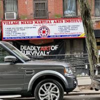 Village Mixed Martial Arts Institute ico