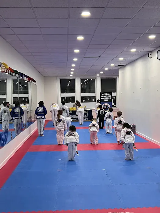 Champions Martial Arts Brooklyn Heights Picture 2