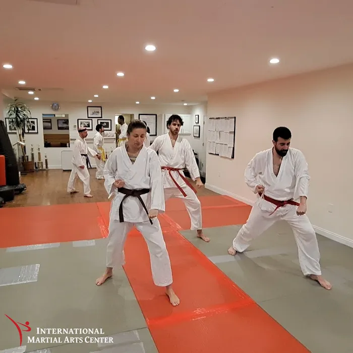 International Martial Arts Center Picture 2
