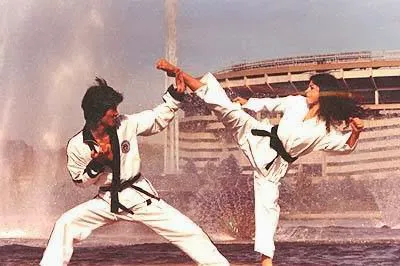 International Martial Arts Center Picture 4
