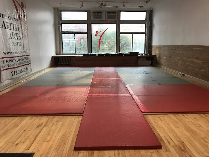 International Martial Arts Center Picture 5