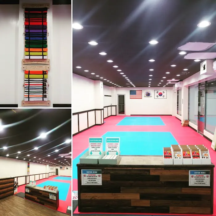 Champions Martial Arts Avenue C Picture 4
