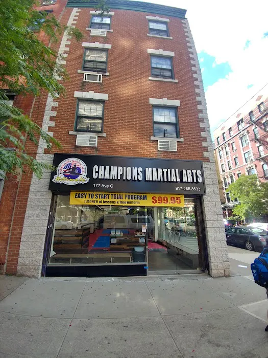 Champions Martial Arts Avenue C Picture 3